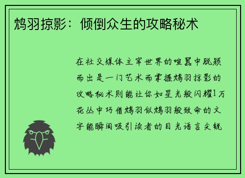 鸩羽掠影：倾倒众生的攻略秘术